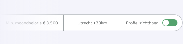 Maak Met Intermediair Makkelijk Een Professioneel Cv